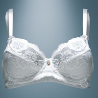 WOMEN'S BRA 251 VLPT02062 Tellini S.r.l. Wholesale Clothing