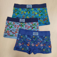 BOY'S BOXER U3556 Tellini S.r.l. Wholesale Clothing