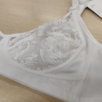 ALIDA WOMEN'S BRA Tellini S.r.l. Wholesale Clothing