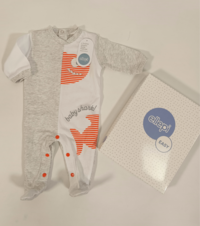 NEWBORN ONEsie BQ3291 Tellini S.r.l. Wholesale Clothing