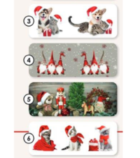 COMPLETE CHRISTMAS DIGITAL SPONGE 1 + 1 Tellini S.r.l. Wholesale Clothing